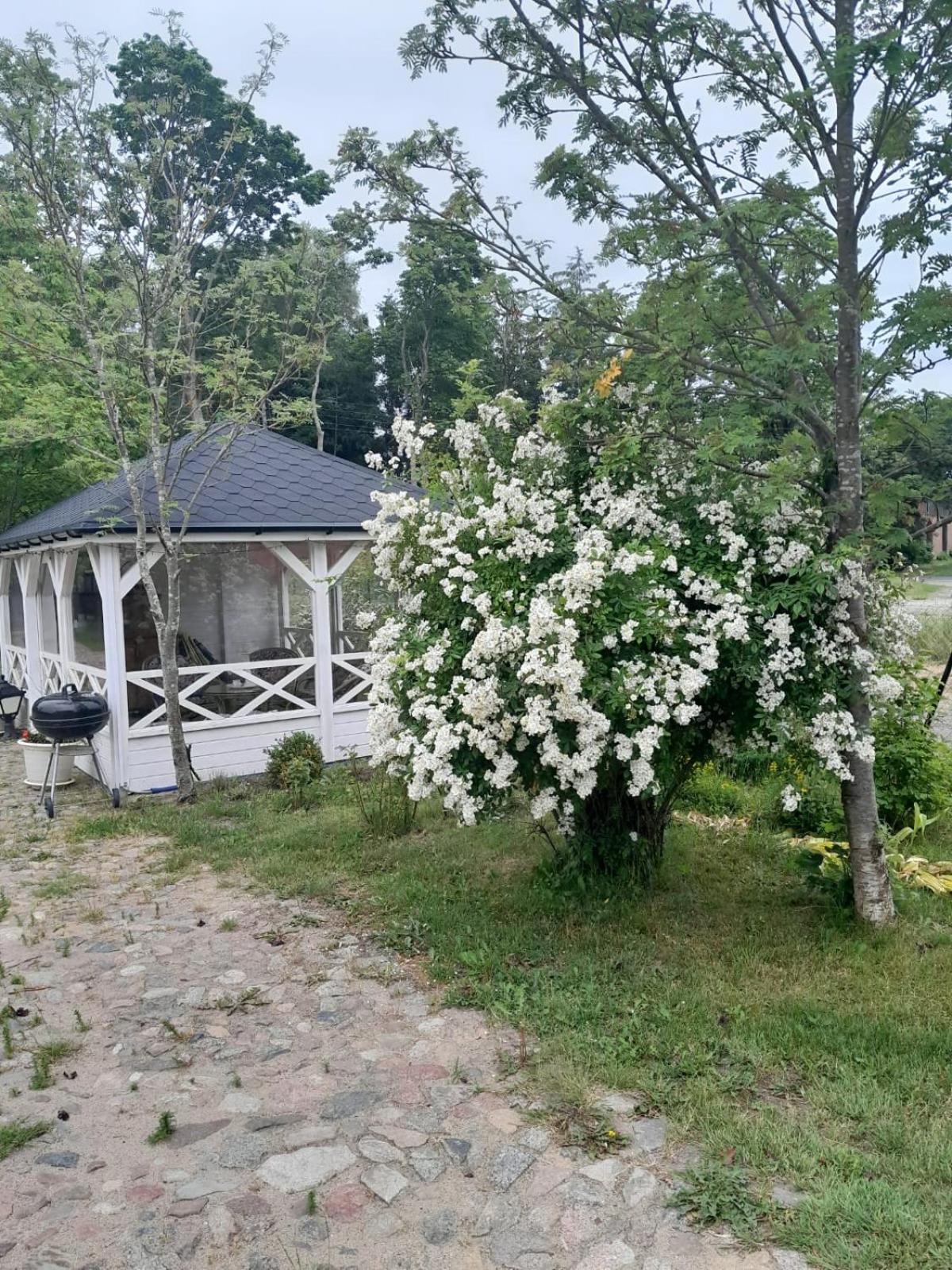 Dom Nad Morzem Ludwikowo Villa Skrzeszewo  Екстериор снимка